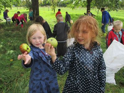 Atelier de jus de pomme Syndicat Arboricole Volmerange-Les-Boulay
