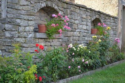 Maisons fleuries du village Volmerange-Les-Boulay
